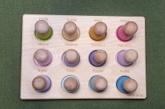 Peg Bebekler için Tabla Aylar ve 12li Pegler Pastel Tonlar
